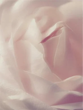 DermaPure Cleansing Foam