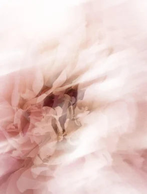 Collagen Restore Night Cream