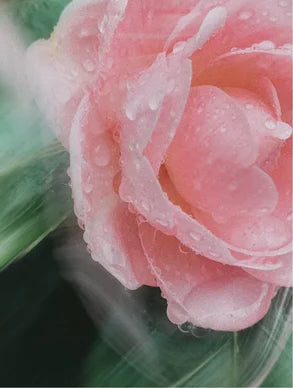 FACE & BODY MINERAL SUNSCREEN SPF 30